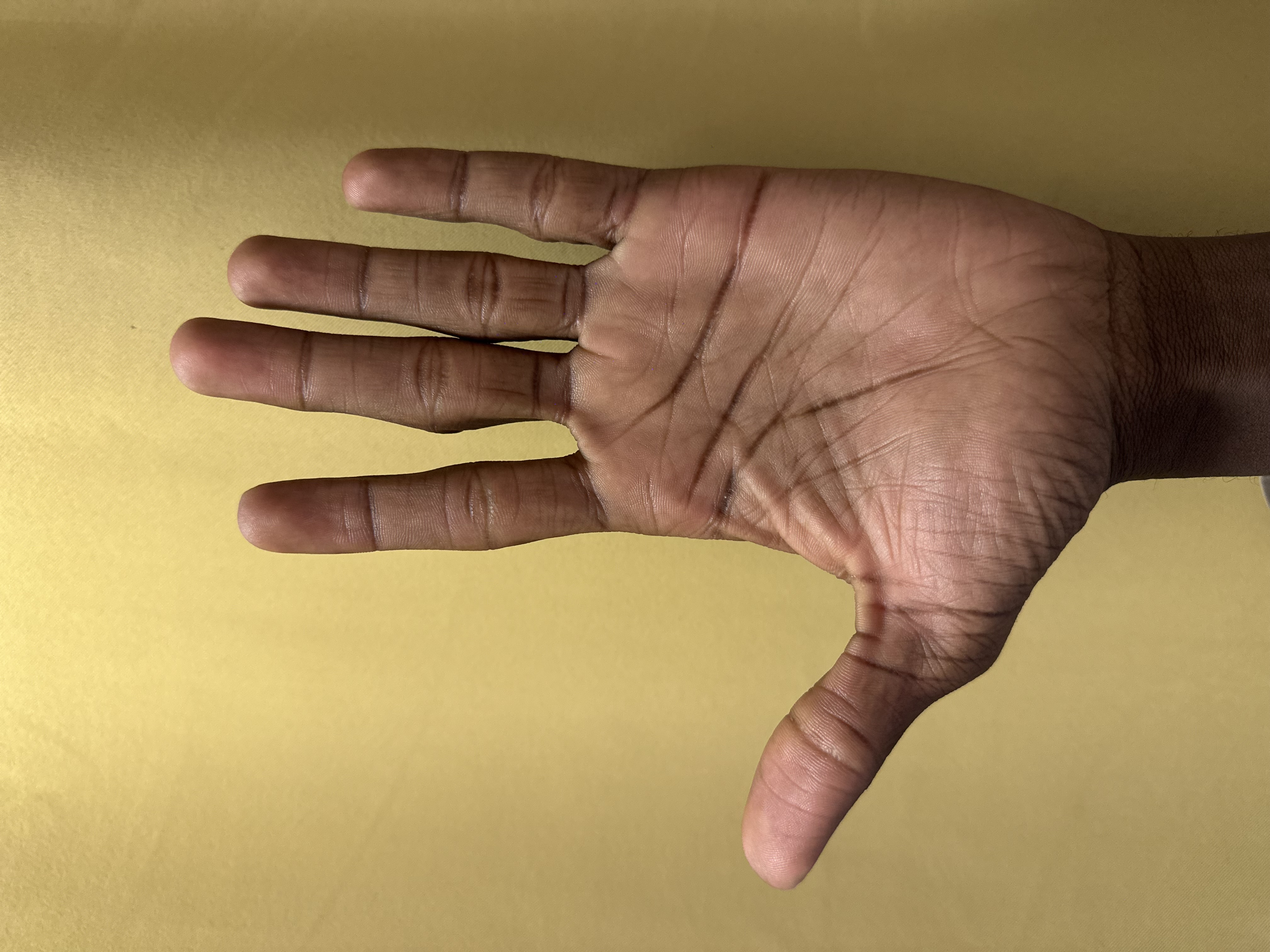 Left Hand Front