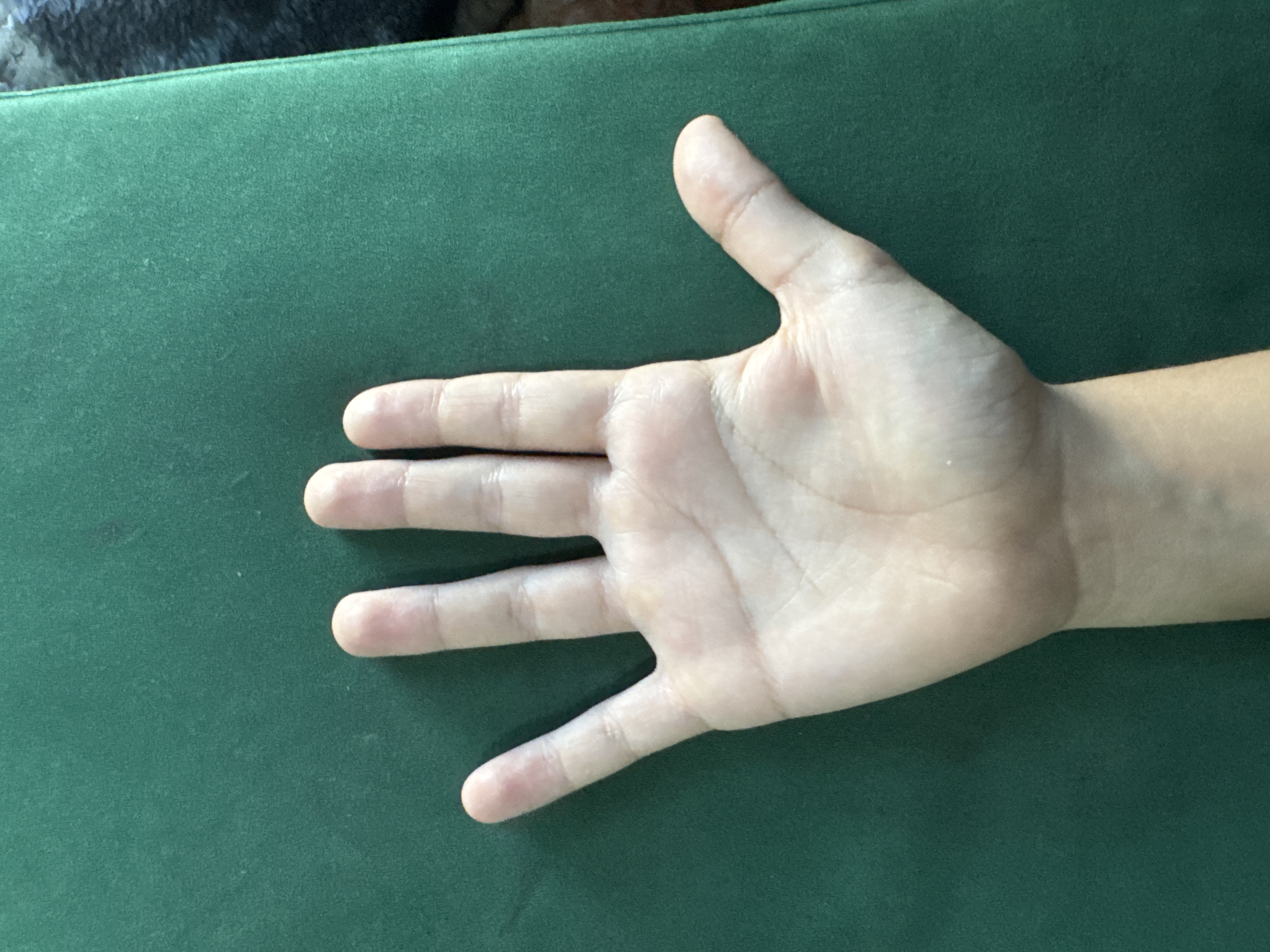 Left Hand Front