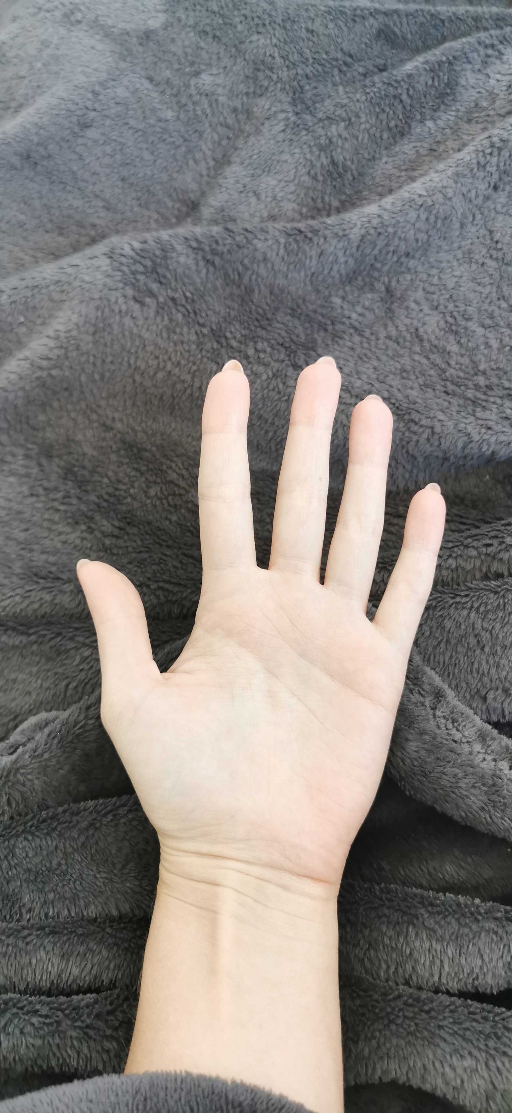 Left Hand Front